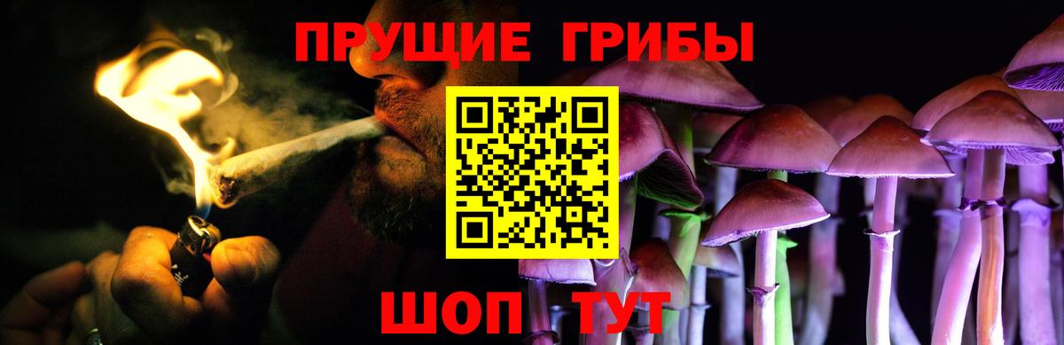 Галлюциногенные грибы Psilocybe  Вход с VPN  где купить   Отрадное 